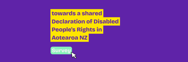 Tile reads help us shape a disability Rights declaration for Aotearoa NZ share your thoughts in a survey